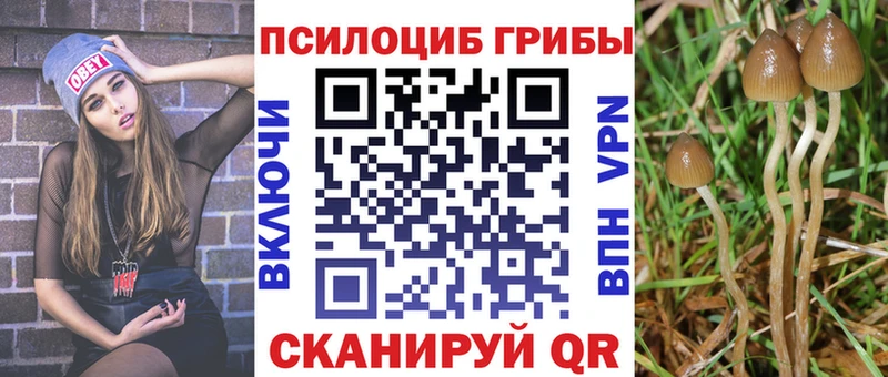 Купить  Салават  Псилоцибиновые грибы ЛСД 